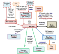 Thumbnail for version as of 07:39, 31 March 2015